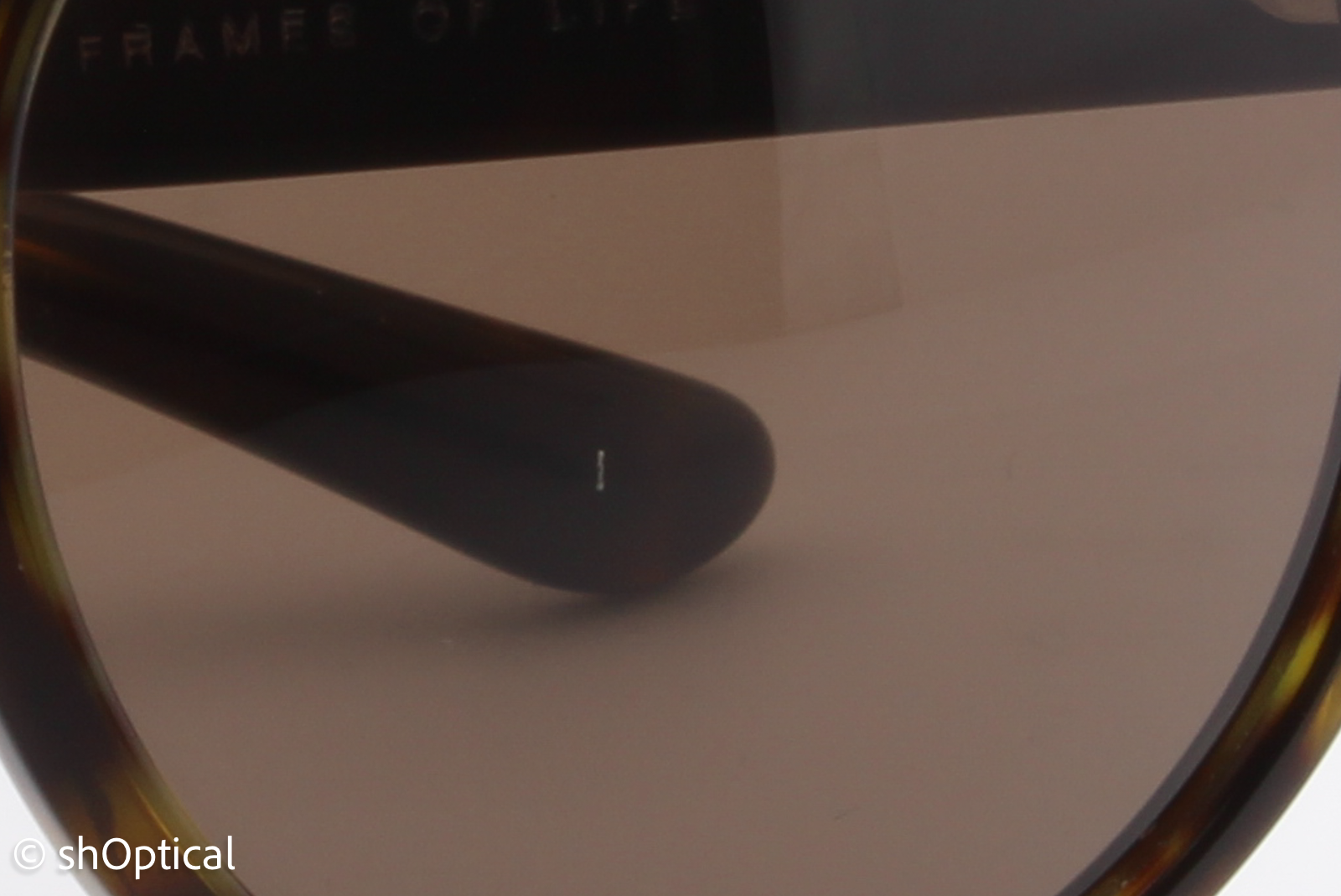 Giorgio Armani AR8053 5026/53 Mens Full Rim Sunglasses Havana Dark Brown 47mm