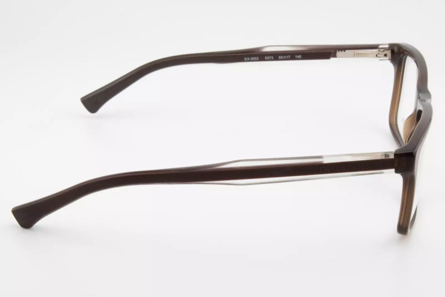 Emporio Armani EA3002 5073